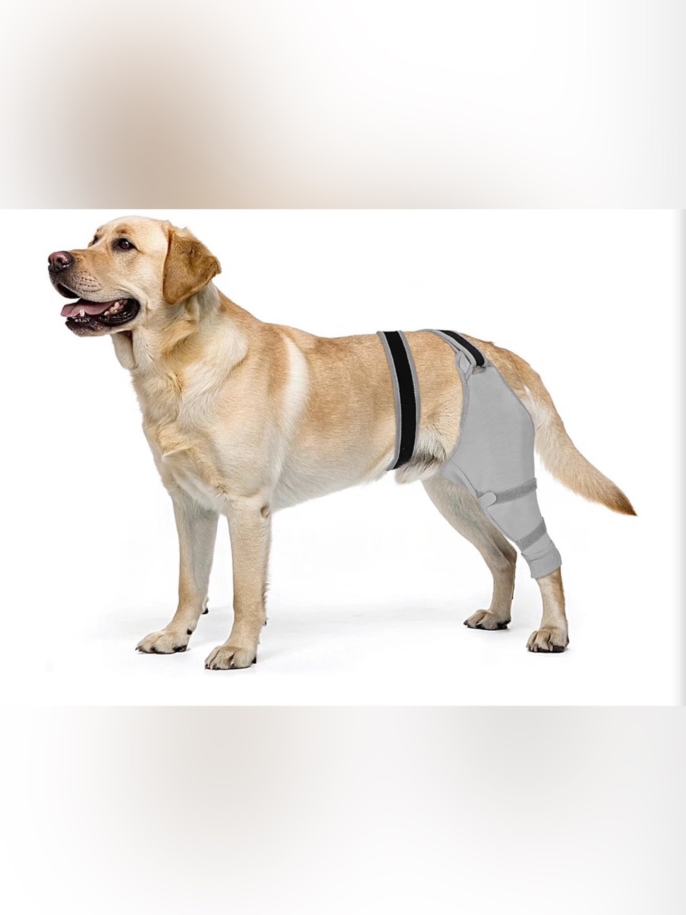 Dog Sleeve RIGHT REAR Legs to Stop Licking Upgraded Recovery Sleeve Back SIZE L